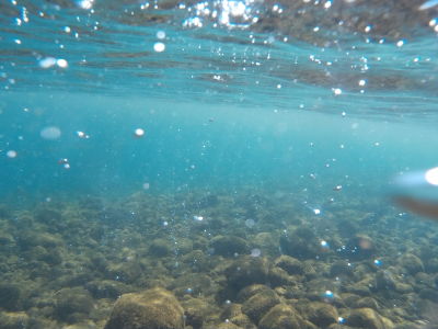 Bublinky unikajúceho plynu na morskom dne na Bubble Spa Beach