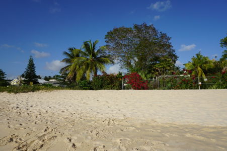 Pláž Brandons Beach