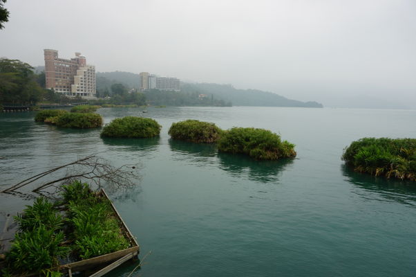 Jazero Slnka a Mesiaca (Sun Moon Lake) na Taiwane - rafty so zeminou a rastlinami slúžia ako zázemie pre rozmnožovanie rýb i tlmenie vĺn