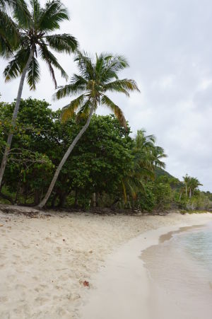 Pláž Smuggler's Cove