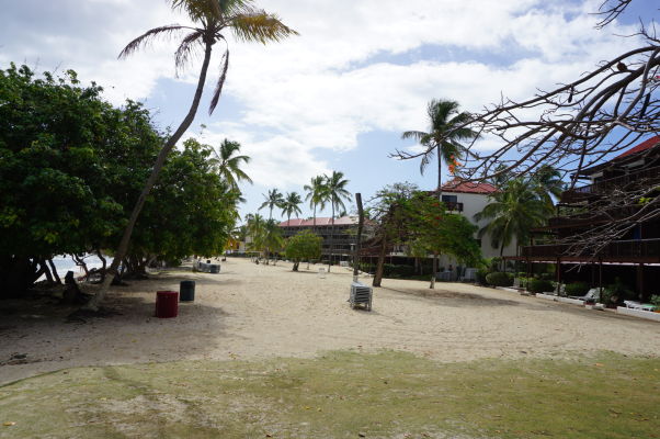 Pláž Sapphire Beach na ostrove Svätý Tomáš