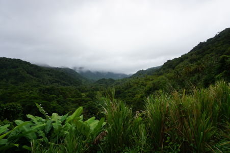 Zelená panoráma Dominiky