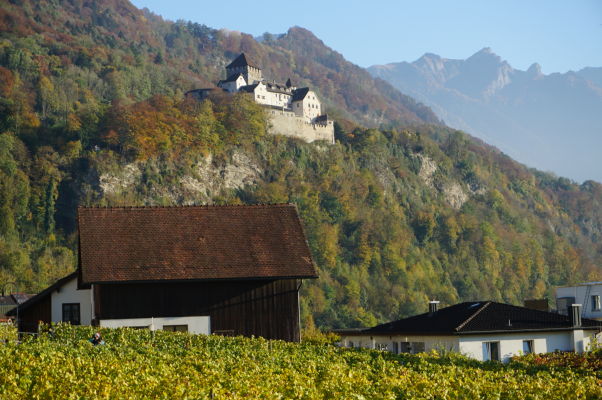 Vinice pod hradom Vaduz