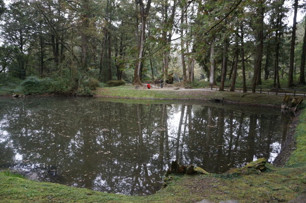 Younger Sister Pond (Rybník mladšej sestry) v Ališane - jedno z jazierok Sister Ponds