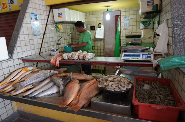Predajca čerstvých rýb na rybom trhu v São Luís