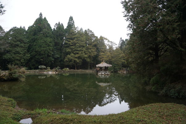 Elder Sister Pond (Rybník staršej sestry) v Ališane - jedno z jazierok Sister Ponds