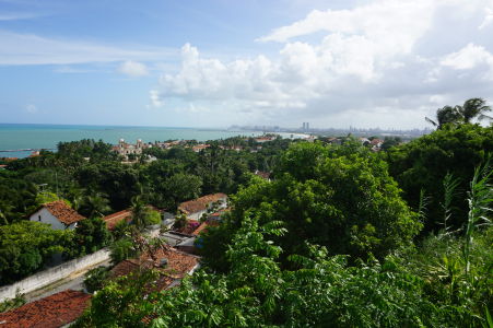 Výhľad z terasy katedrály - vľavo Karmelitánsky chrám, vpravo Recife