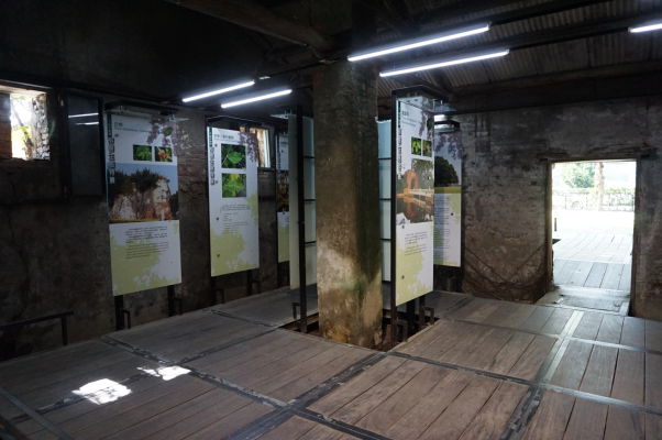 Stromový dom (Treehouse) v Tchaj-nane - informačné panely v útrobách bývalého skladu obrasteného koreňmi banyánov