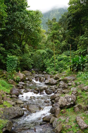 Botanická záhrada Jardin de Balata na Martiniku