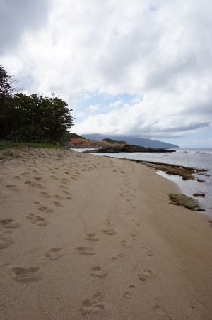 Pláž na Pointe Baptiste