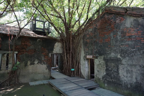 Stromový dom (Treehouse) v Tchaj-nane - banyány obrastajú budovu bývalého skladu