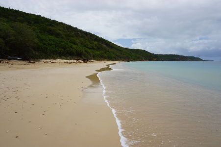 Pláž v zálive Crocus Bay