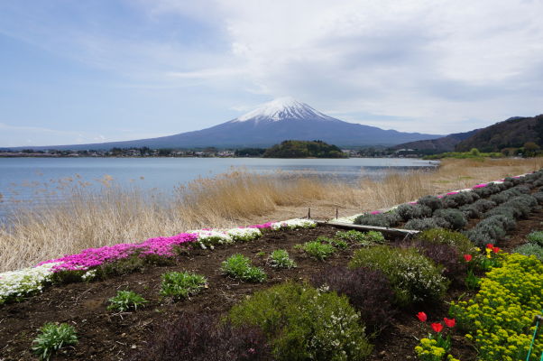 Sopka Fudži pri pohľade od jazera Kavaguči