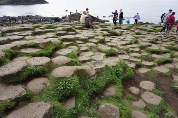 Bazalt (stuhnutá láva) formujúci "včelie plasty" na Obrovom chodníku (Giant's Causeway) v Severnom Írsku