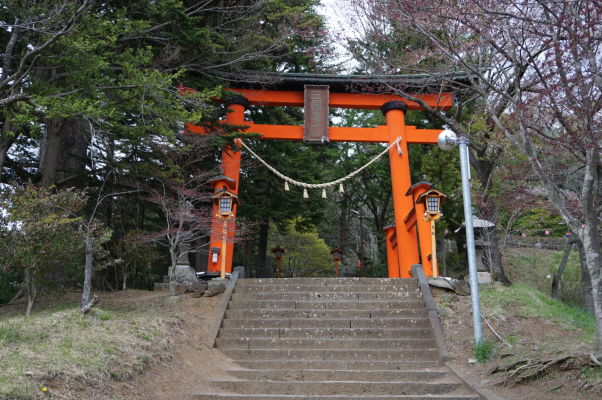 Brána torii v okolí pagody Čureito