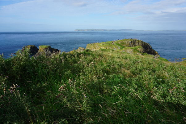 Ostrov Carrick-a-Rede