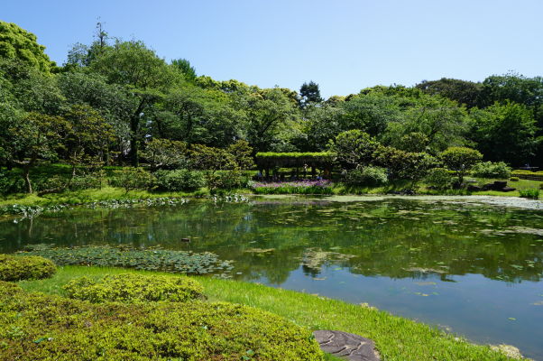 Cisársky palác v Tokiu - väčšinu jeho plochy tvorí krásny park