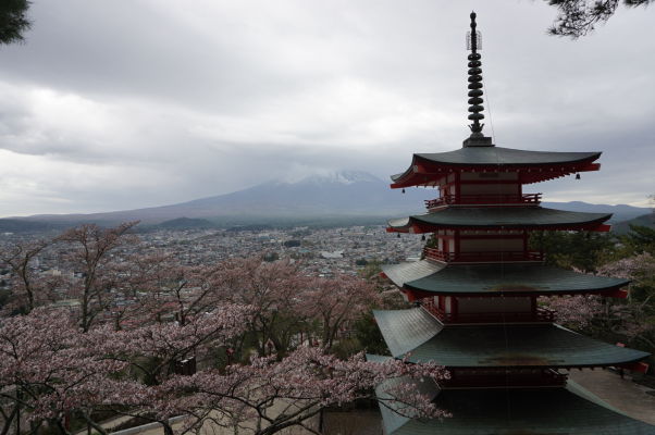 Výhľad na horu Fudži spoza pagody Čureito