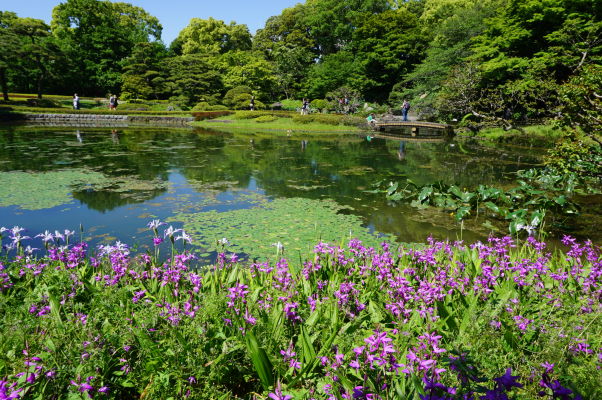 Cisársky palác v Tokiu - väčšinu jeho plochy tvorí krásny park