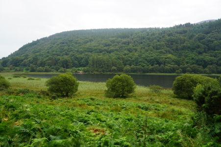 Dolné jazero v údolí Glendalough