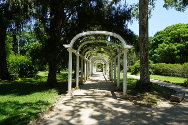 Botanická záhrada v Riu de Janeiro