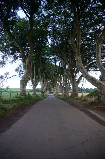 Dark Hedges v Severnom Írsku - Filmová "Kráľova cesta" z Game of Thrones