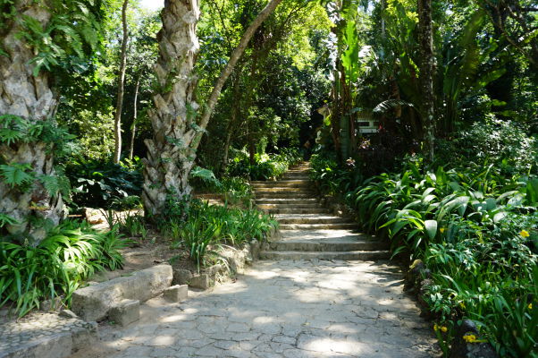 Botanická záhrada v Riu de Janeiro