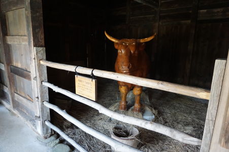 Chov dobytka (nie dreveného) patril ku každodennému životu na japonskej dedine