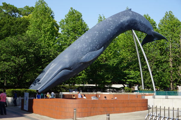 Národné prírodovedecké múzeum má exponáty i vonku v parku Ueno v Tokiu