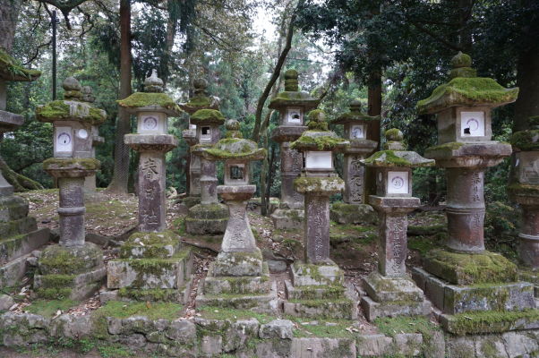 Kamenné lampáše popri ceste k svätyni Kasuga Taiša v Nare