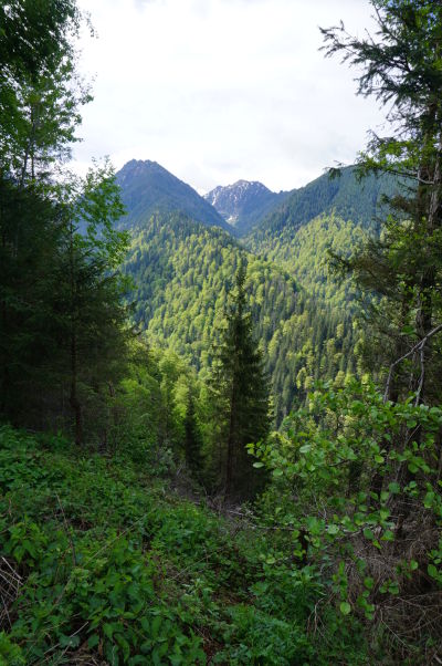 Hory Transylvánie (rumunských Karpát) v okolí Transfagarašanu