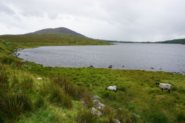 Jazero Lough Inagh v írskom regióne Connemara
