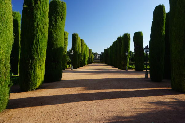 Záhrady v kráľovskom paláci Alcázar v Córdobe