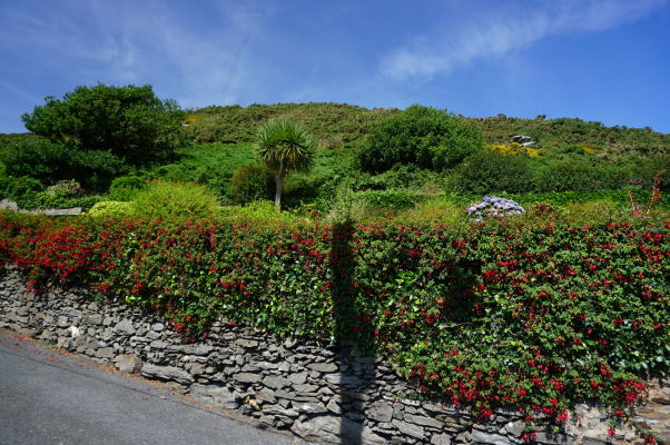 Cestička na Bradda Head k Milnerovej veži na ostrove Man