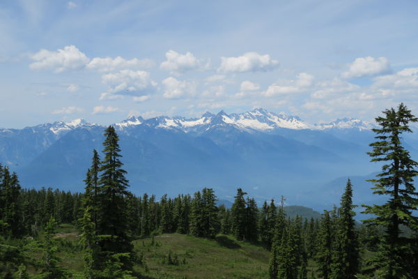 Začiatok treku k jazierkam Elfin Lakes v Provinčnom parku Garibaldi v Britskej Kolumbii v Kanade veľmi rýchlo prejde do riedkeho lesa, vďaka čomu sa otvoria dobré výhľady na okolie