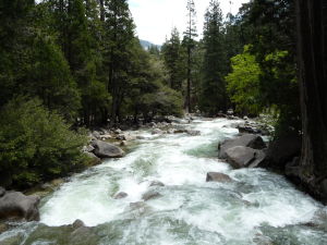 Národný park Yosemite 