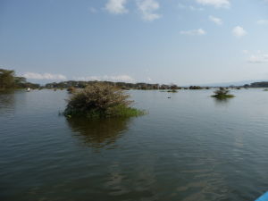 Jazero Naivasha