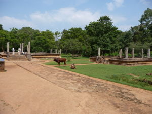 Anuradhapura - Ruiny