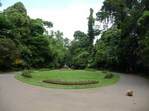 Kráľovská botanická záhrada