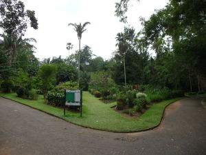 Kráľovská botanická záhrada