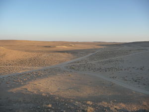 Cestičky v púšti