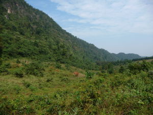 Výlet do džungle neďaleko Luang Prabang