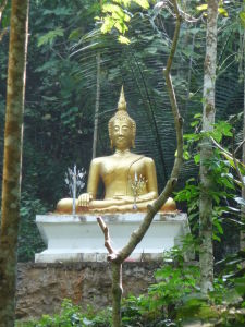 Džungľa - Zlatý Budha skrytý medzi stromami