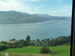 Záliv Otago Harbour