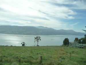 Záliv Otago Harbour