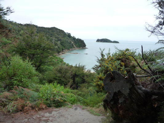 Abel Tasman NP - Na ceste po pobreží sa miestami otvárajú krásne výhľady na more - napríklad na ostrov Fisherman Island