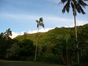 Tahiti - Marae Arahurahu