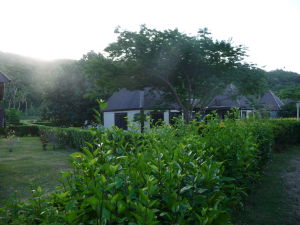 Bungalovy na ostrove Tavewa