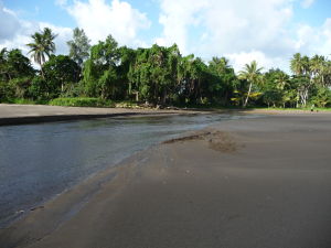 Pláž na Vanuatu