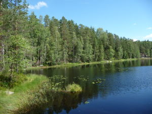 Fínsko je krajinou tisícich jazier
